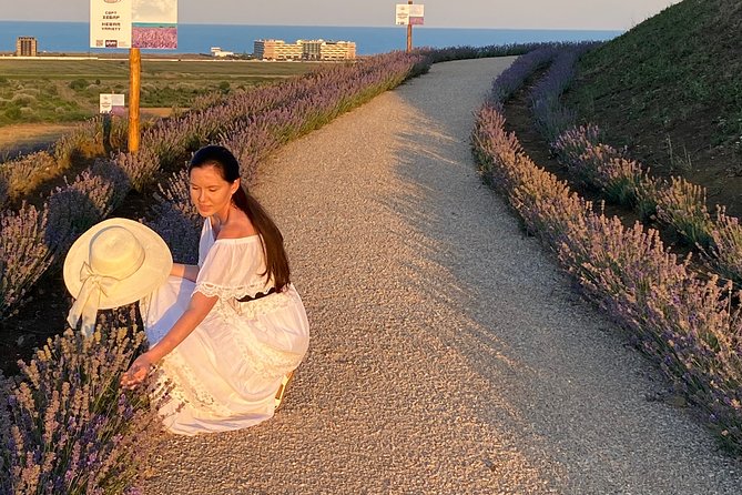 Aroma sampling of 5 Bulgarian Lavender varieties at DiVes Winery - Timing your visit for flowers and views