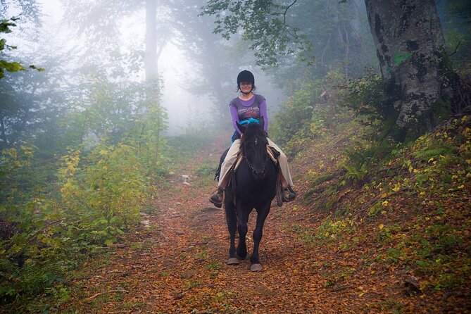 Balkan Horse Riding - Glozhene Monastery Ride - What the private format is worth at $138.55