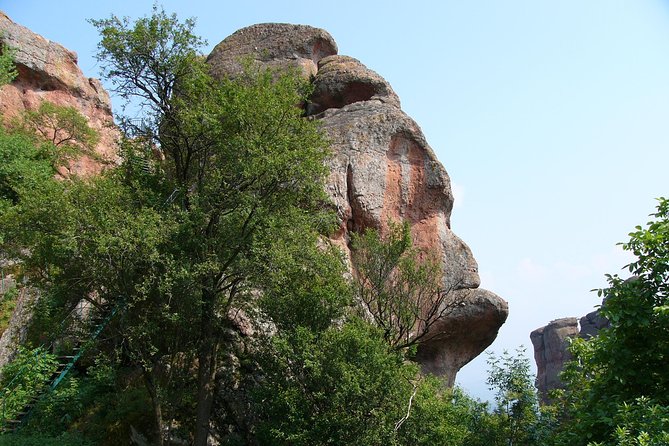 Belogradchik Full-day Tour from Sofia - Guide quality can shape the whole day