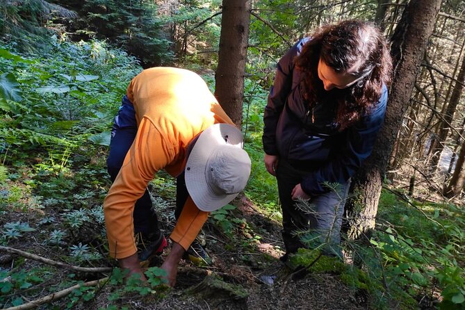 Culinary Adventure To The Fungi And Botanical Kingdom Of Bulgaria - What the guide adds to the walk