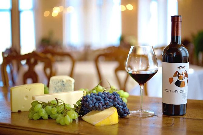 Edoardo Miroglio Private Boutique Winery Tour - Seeing the cellar and production process