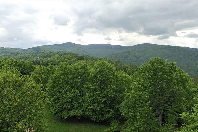 From Sofia: Serbia and Macedonia Trip - Who will enjoy this trip most