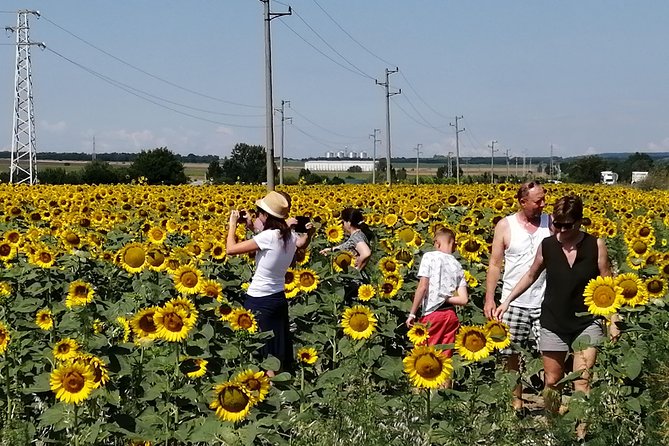 Full-Day Small-Group Tour of Bulgaria by Minivan with Lunch - Pobiti Kamani and Bulgaria’s stone desert