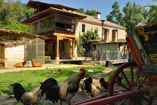 Full-Day Small-Group Tour of Bulgaria by Minivan with Lunch - Beloslav brings the day into local life