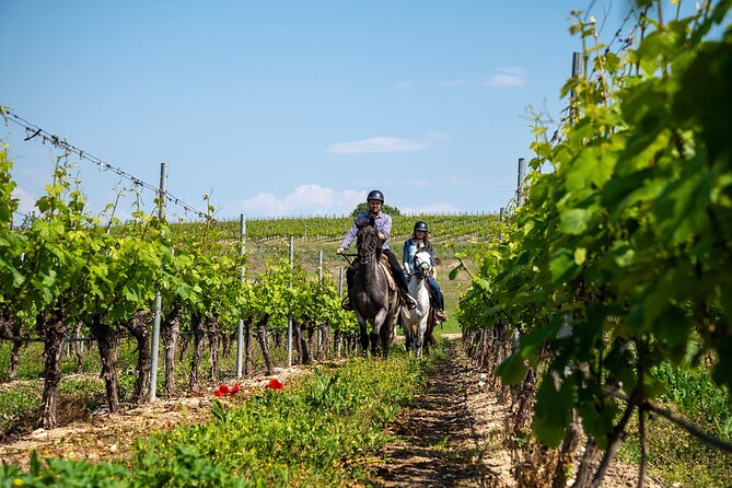 Half-Day of Horseback Adventure with Wine Tasting - Key details before you saddle up