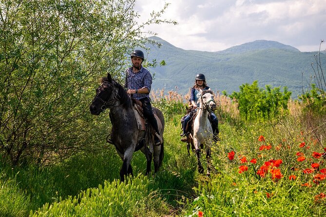 Half-Day of Horseback Adventure with Wine Tasting - Leaving Plovdiv for Yustina Vineyard Park