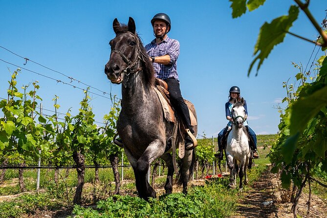Half-Day of Horseback Adventure with Wine Tasting - A riverside lunch in the middle of the ride