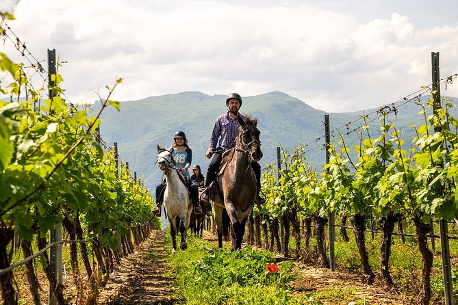 Half-Day of Horseback Adventure with Wine Tasting - Is $179.01 a fair price?