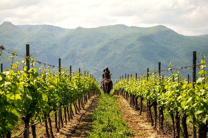Half-Day of Horseback Adventure with Wine Tasting - Who should book this ride?