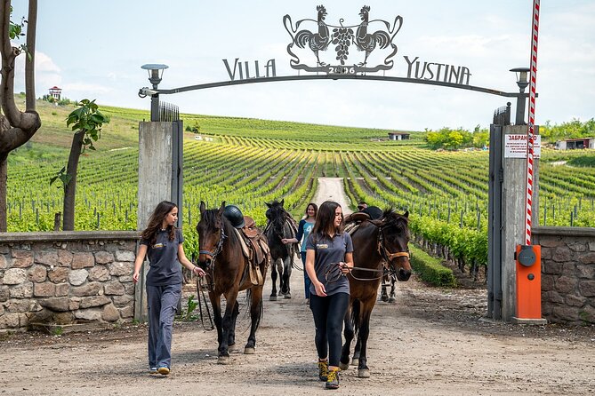 Half-Day of Horseback Adventure with Wine Tasting - Getting comfortable with your horse