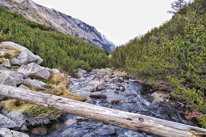 Hiking in Pirin- the UNESCO World Heritage Natural Park with a visit of Bansko - Returning to Sofia by about 16:30