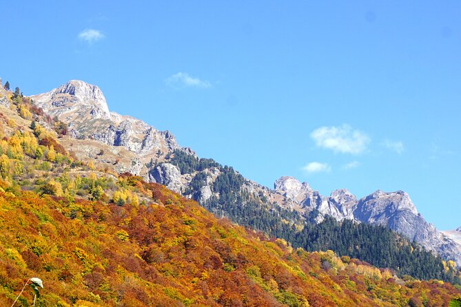 Incredible Day tour from Sofia to 7 Rila lakes and Rila monastery - Guides who shape the experience