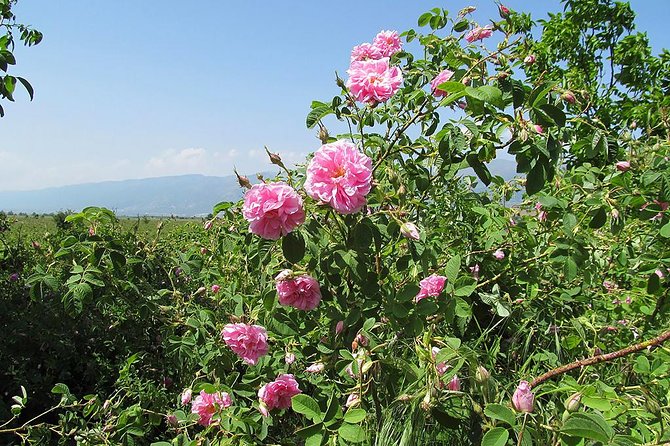 Kazanlak-Rose Valley-Valley of the Thracian Kings - private tour from Plovdiv - Iskra Historical Museum and the objects of Kazanlak
