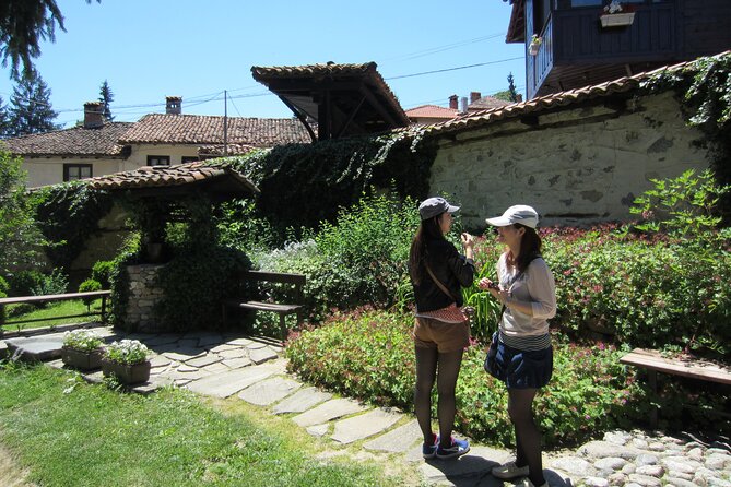 Koprivshtica Day Tour from Sofia - What the minibus format changes
