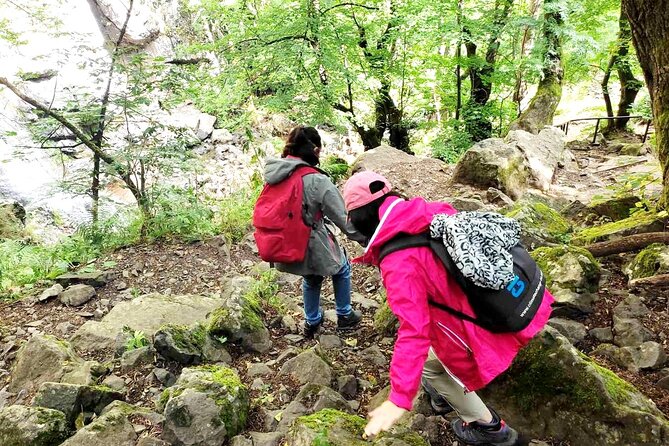 Mt. Vitosha and Boyana Waterfall Hiking Tour from Sofia - Key points to know before you book