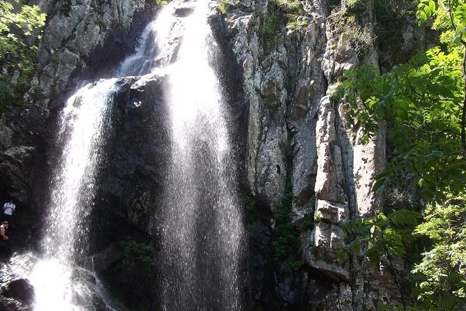 Mt. Vitosha and Boyana Waterfall Hiking Tour from Sofia - Boyana Waterfall on the descent