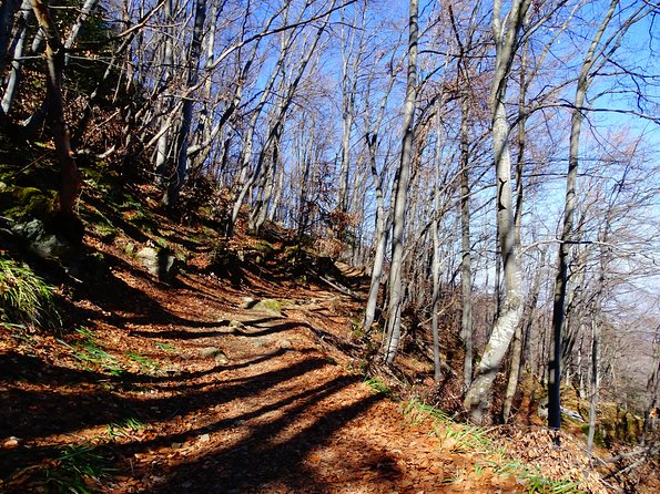 Mt. Vitosha and Boyana Waterfall Hiking Tour from Sofia - Why an experienced guide matters here