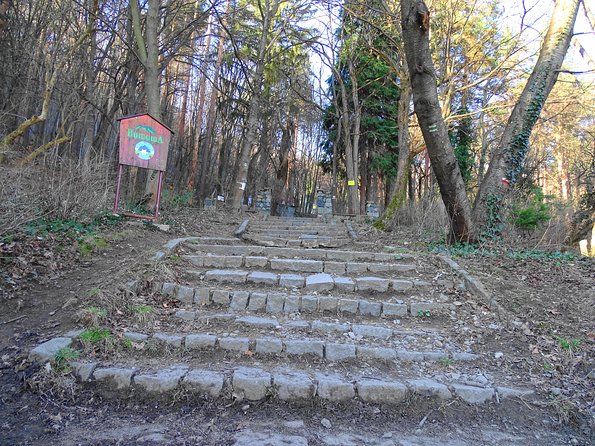 Mt. Vitosha and Boyana Waterfall Hiking Tour from Sofia - Group size, pace, and route changes