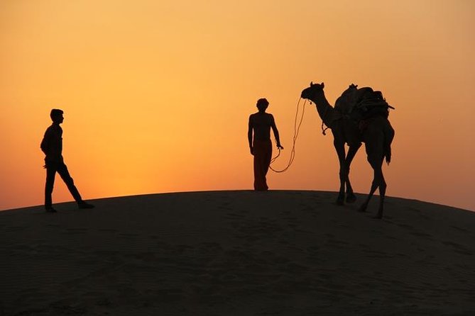 Non Touristic Half Day Camel Safari Thar Desert Sunset - A desert outing that begins far from the usual dunes