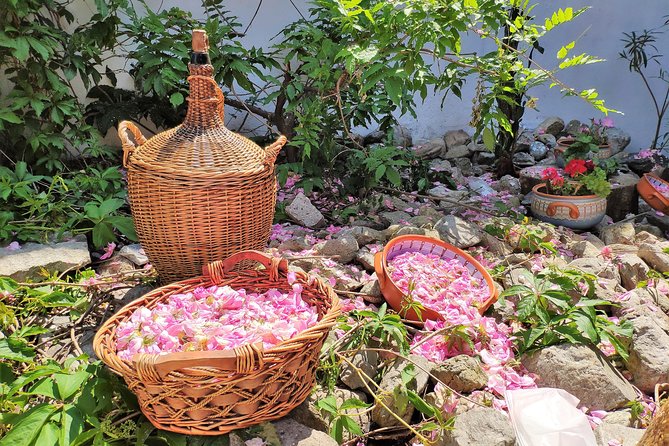 Picking Roses Workshop & Extracting Rose Oil in the Rose Valley - Exploring Karlovo and its old town