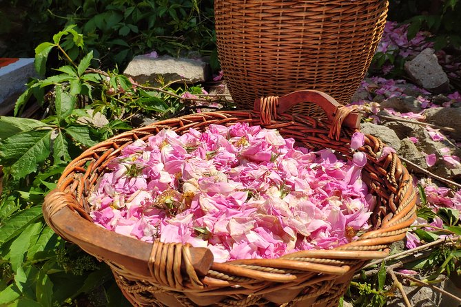Picking Roses Workshop & Extracting Rose Oil in the Rose Valley - Seeing rose soap made at a Bulgarian factory