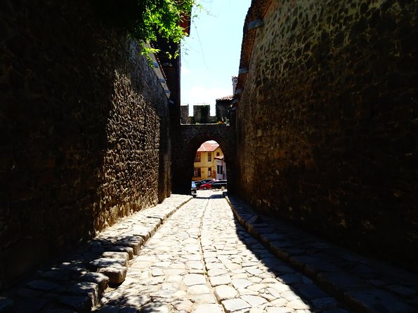 Plovdiv and Perushtitsa Day Trip with Wine Tasting from Sofia - Pickup, vehicle, and the nine-hour schedule
