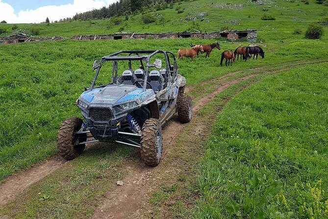 Private 1-Hour Quad or Buggy Safari in Borovets - The guide can make or break a short tour