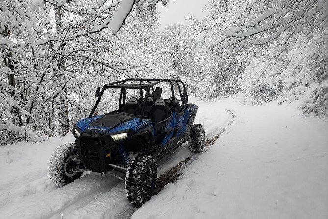 Private 1-Hour Quad or Buggy Safari in Borovets - Quad or buggy: choosing the right ride