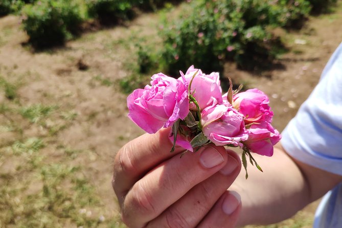 Private Access Rose Festival Kazanlak 05-07.06.2025 - Key points to know before you book