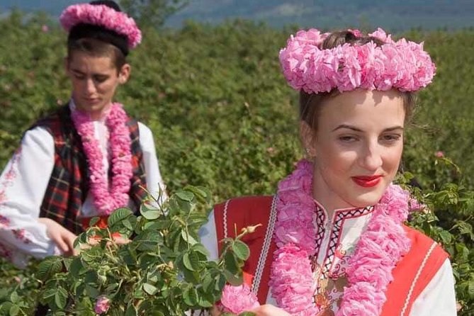 Private Access Rose Festival Kazanlak 05-07.06.2025 - Is $105.28 a fair price?