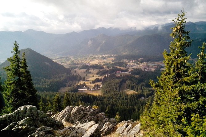 Private Buggy Experience All Seasons in Pamporovo - Taking the wheel in the Rhodope forests