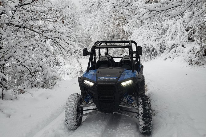 Private Buggy Experience All Seasons in Pamporovo - Price, deposit, and what the value really means