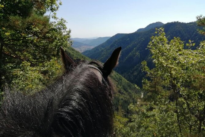 Private Cascades Waterfall Horseback Riding Tour from Smolyan - Getting started with a trained horse