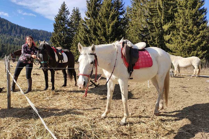 Private Horse Riding in the Balkan from Sofia - Who will enjoy this ride most