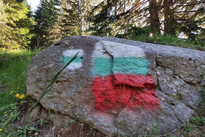 Private Mountain Biking in Vitosha from Sofia - Price, Equipment, and Overall Value