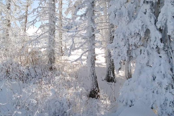 Private Vitosha Mountains Hiking with Black peak & Dragalevtsi Monastery - The self-guided option needs careful reading