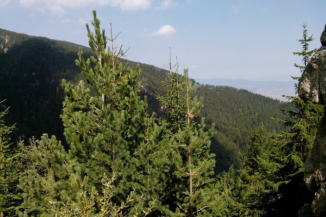 Private Vitosha Mountains Hiking with Black peak & Dragalevtsi Monastery - What to wear and bring