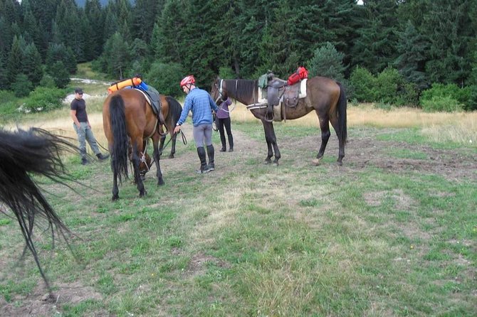 Rila Trail Riding for Experienced Riders - Meeting the horses and choosing the pace