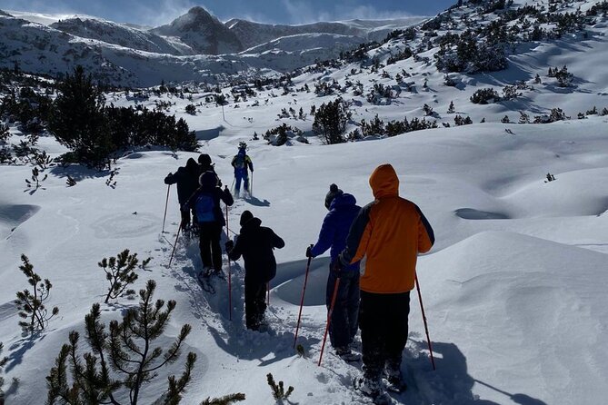 Sofia: Small group to Seven Rila Lakes and Skakavitsa waterfall - Who should book this mountain day