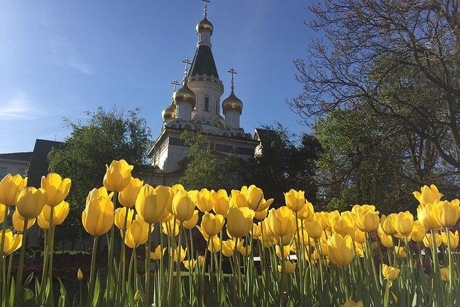 Sofia Walking Private City Tour - Key points at a glance