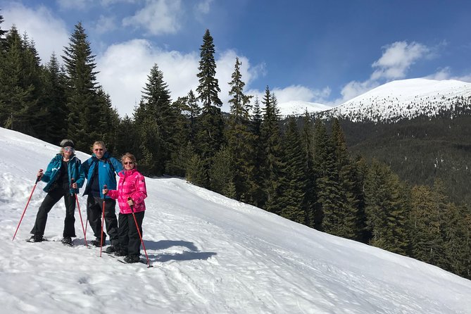 The Best of Bansko: Magical Snowshoeing Adventure & SPA - Snowshoes open a different side of Pirin