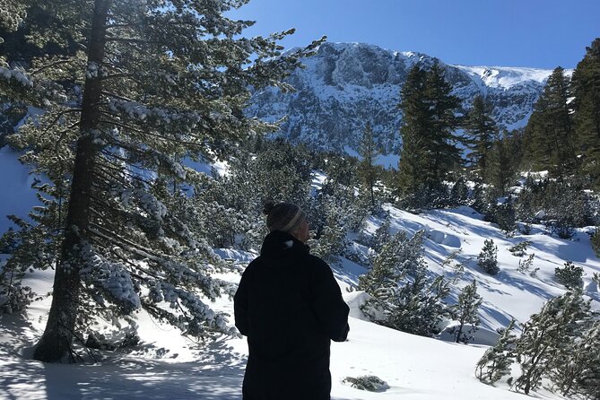 The Best of Bansko: Magical Snowshoeing Adventure & SPA - How this compares with a ski day in Bansko
