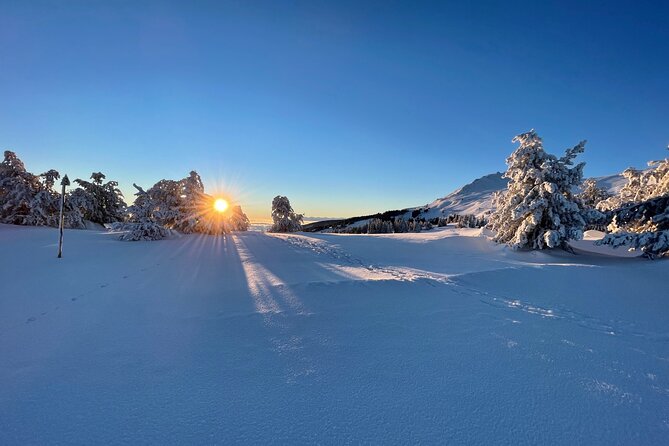 The Best of Sofia: Magical Snowshoeing Adventure in Vitosha & SPA - Views back toward Sofia