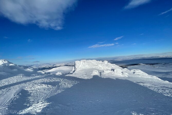 The Best of Sofia: Magical Snowshoeing Adventure in Vitosha & SPA - Timing, weather, and what to plan for