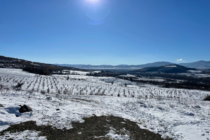 Truffle Hunting in Kyustendil - Why this Kyustendil truffle hunt is different