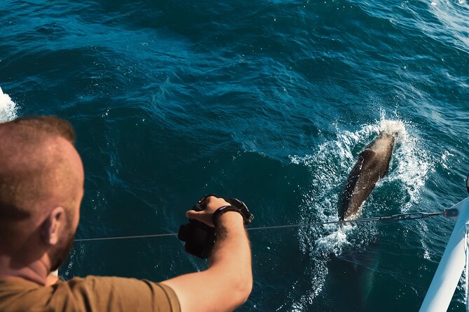 VIP Catamaran 4 hour Activity with Snorkeling in Bulgaria - Lunch on board, with room to relax