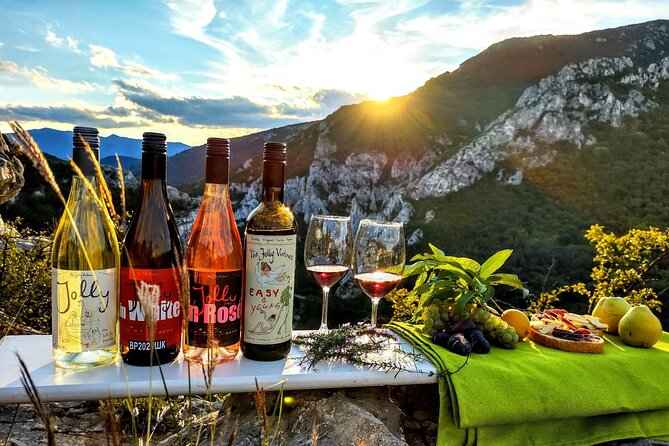 Wine trip with The Jolly Vintners near Sofia - Why the private format matters