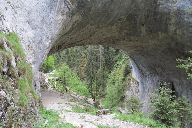 Wonderful Bridges-Bachkovo Monastery-Assen's Fortress - day tour from Plovdiv - Who should take this tour?